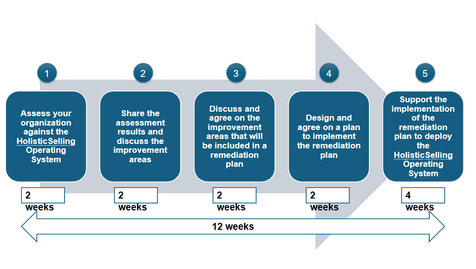 Five-step HolisticSelling implementation process diagram.